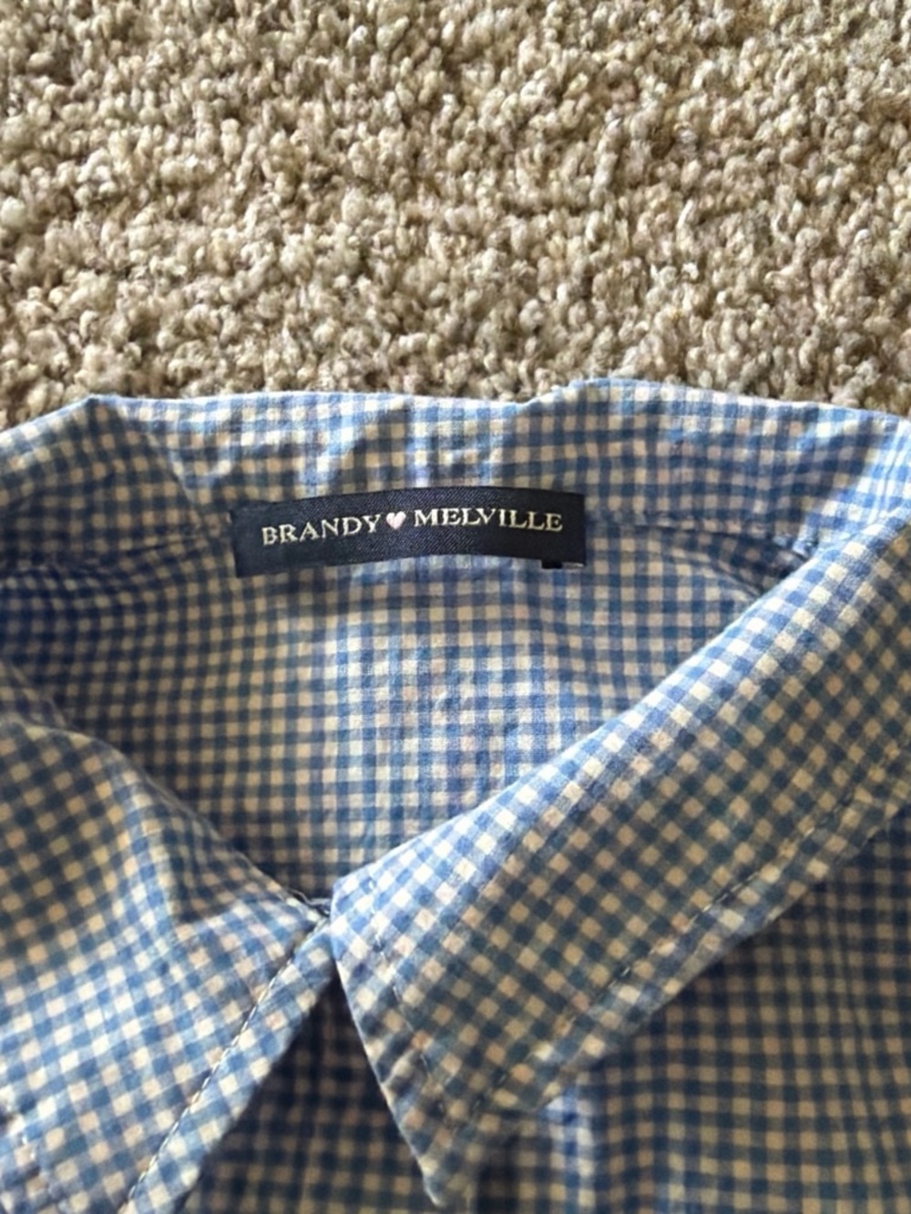 Brandy Melville Blue and White Gingham Button-Down Shirt